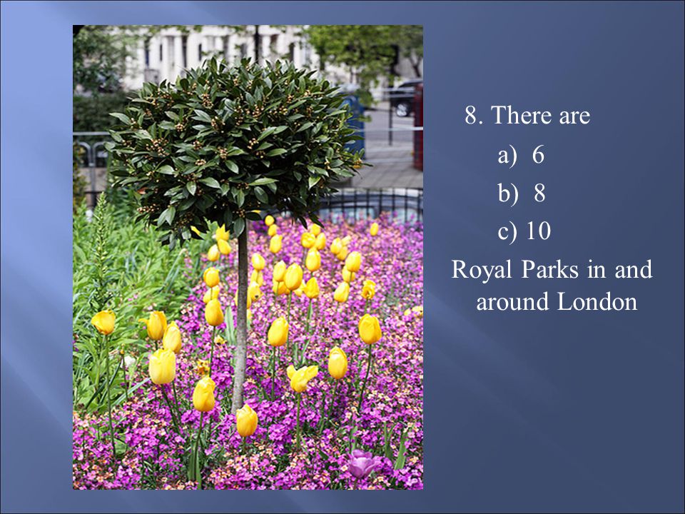 8. There are a) 6 b) 8 c) 10 Royal Parks in and around London