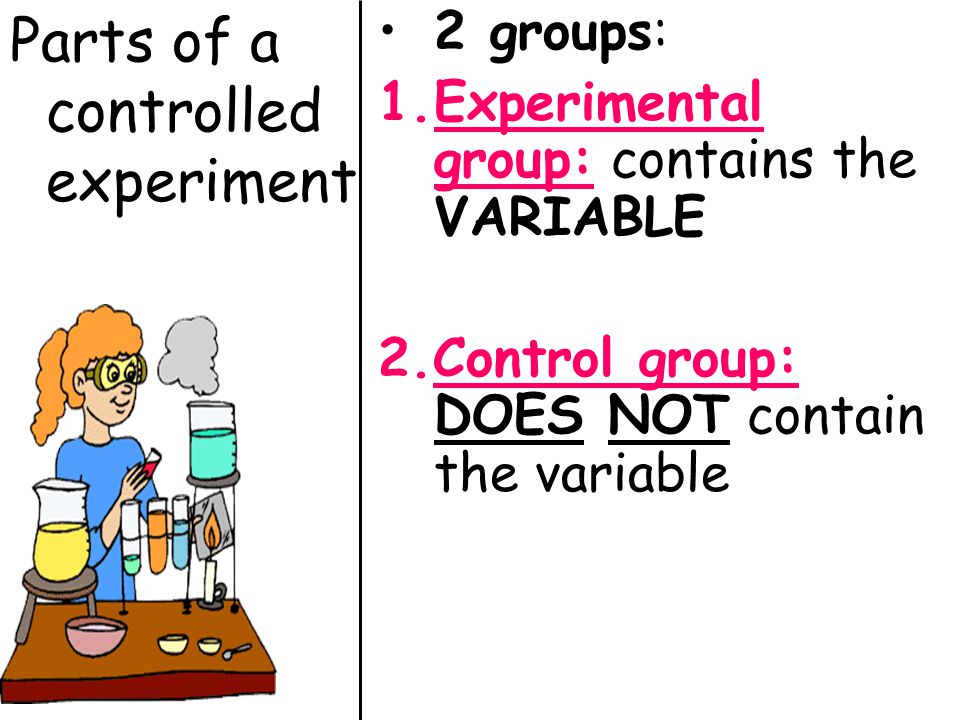 Image result for control groups and experimental groups