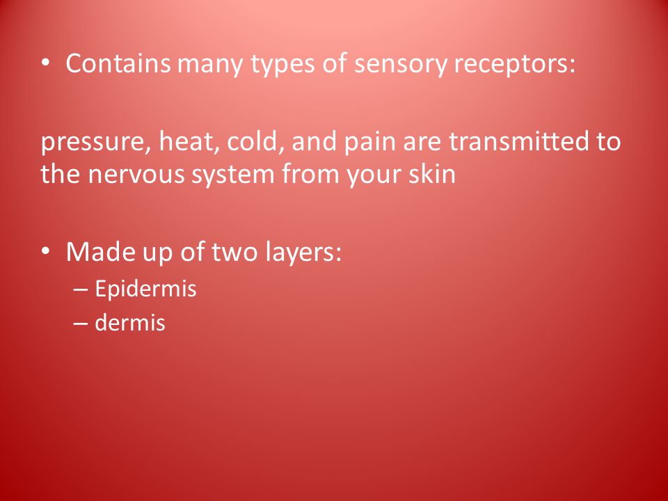 Contains many types of sensory receptors: pressure, heat, cold, and pain are transmitted to the nervous system from your skin Made up of two layers: – Epidermis – dermis