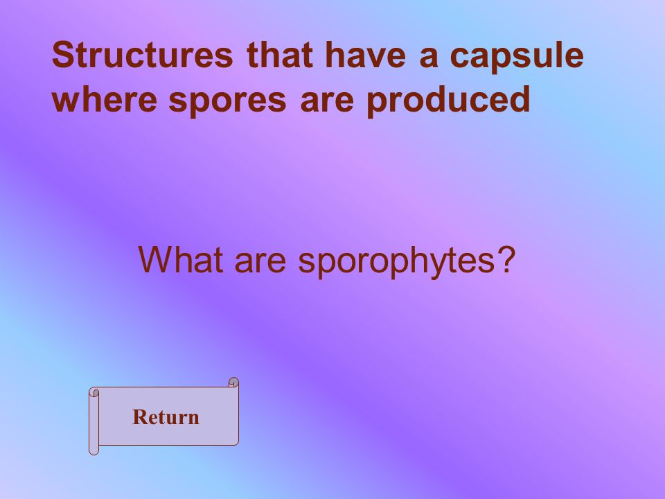 Spore-producing structures of a fern What are sori Return