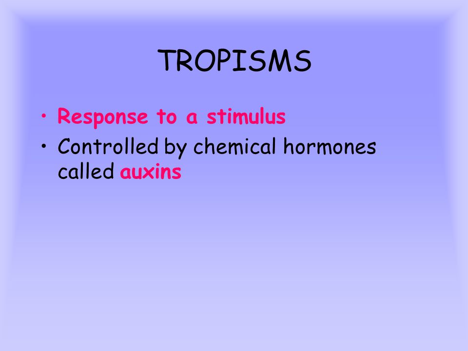 TROPISMS Response to a stimulus Controlled by chemical hormones called auxins
