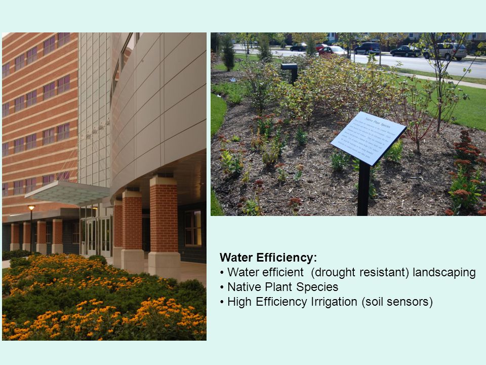 Water Efficiency: Water efficient (drought resistant) landscaping Native Plant Species High Efficiency Irrigation (soil sensors)