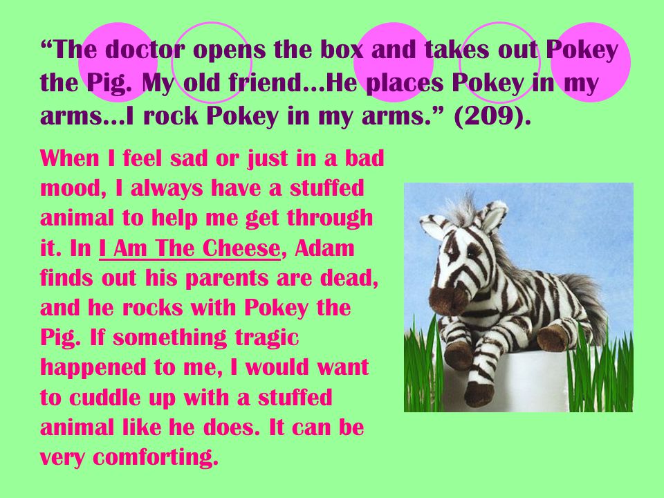The doctor opens the box and takes out Pokey the Pig.