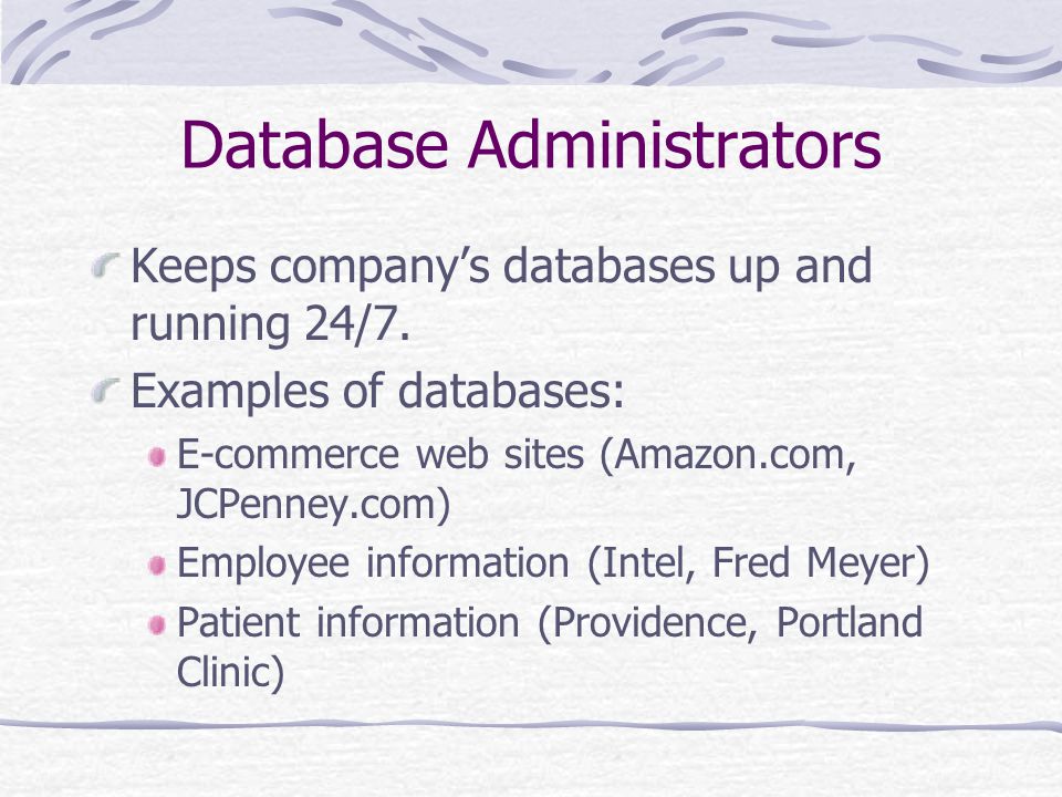 Database Administrators Keeps company’s databases up and running 24/7.