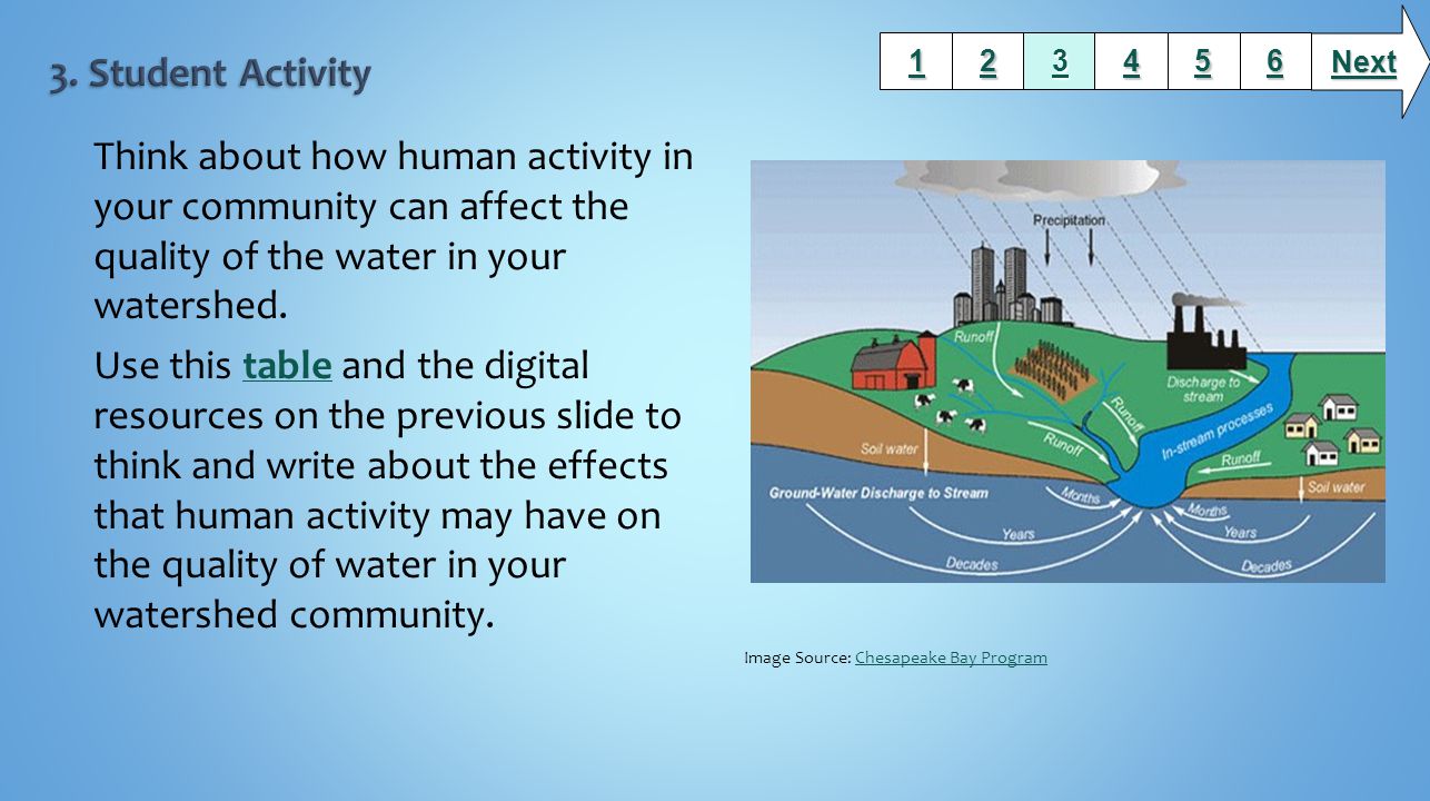 Think about how human activity in your community can affect the quality of the water in your watershed.