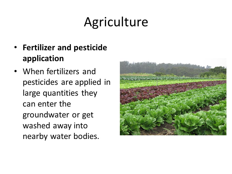 Agriculture Fertilizer and pesticide application When fertilizers and pesticides are applied in large quantities they can enter the groundwater or get washed away into nearby water bodies.