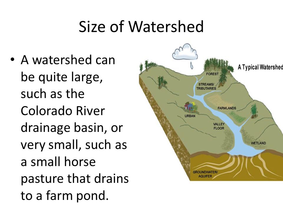 Size of Watershed A watershed can be quite large, such as the Colorado River drainage basin, or very small, such as a small horse pasture that drains to a farm pond.