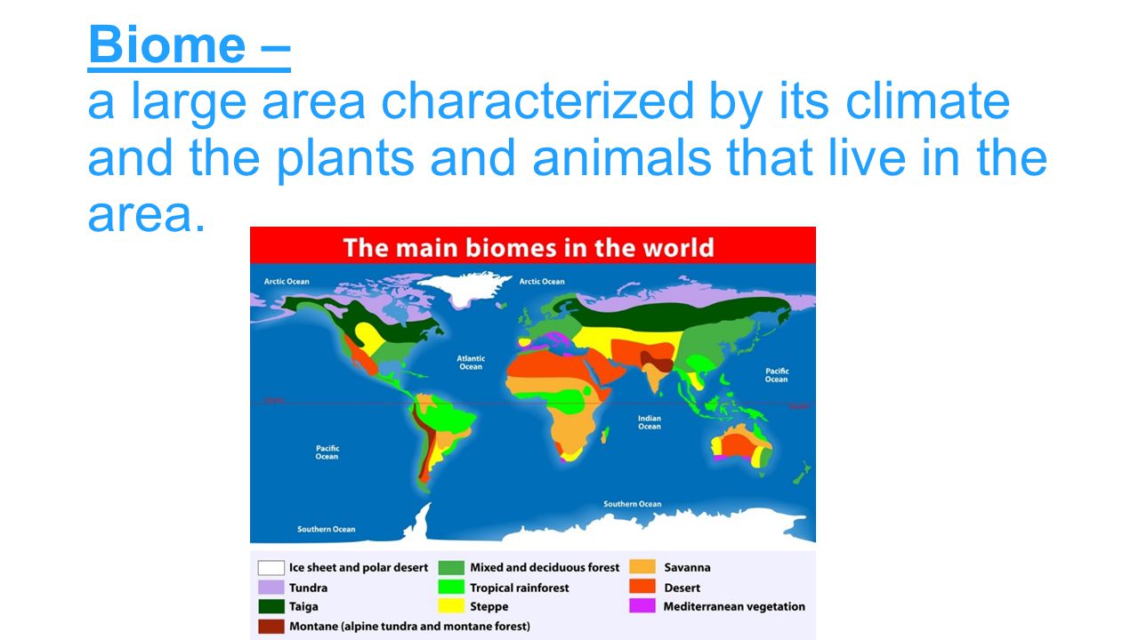 Biome – a large area characterized by its climate and the plants and animals that live in the area.