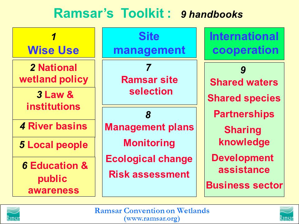 Ramsar Convention on Wetlands (  Shared river basins and wetland ecosystems Countries sharing a drainage basin should establish water quality and quantity monitoring networks analyse jointly information on water use for different purposes exchange information on measures for groundwater, upper catchments and wetland protection share information on mechanisms for flow regulation, navigation and flood prevention