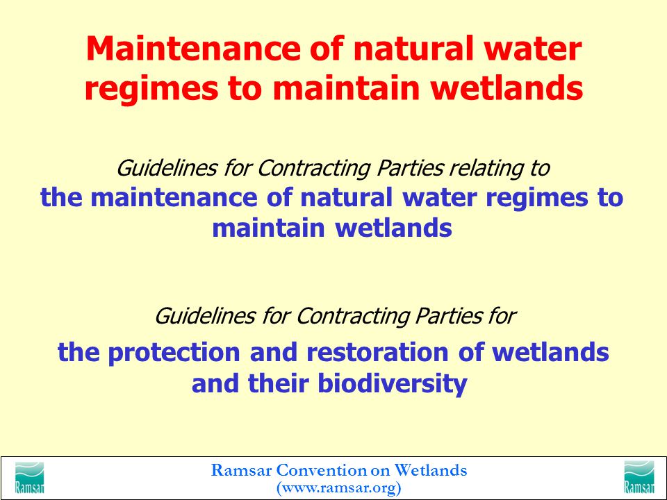 Ramsar Convention on Wetlands (  Guidelines for Contracting Parties relating to reducing the impact of water development projects on wetlands Minimizing the impacts of land use and development projects on wetlands and their biodiversity Guidelines to assist Contracting Parties to minimize the impacts of land use and development projects on wetlands and their biodiversity