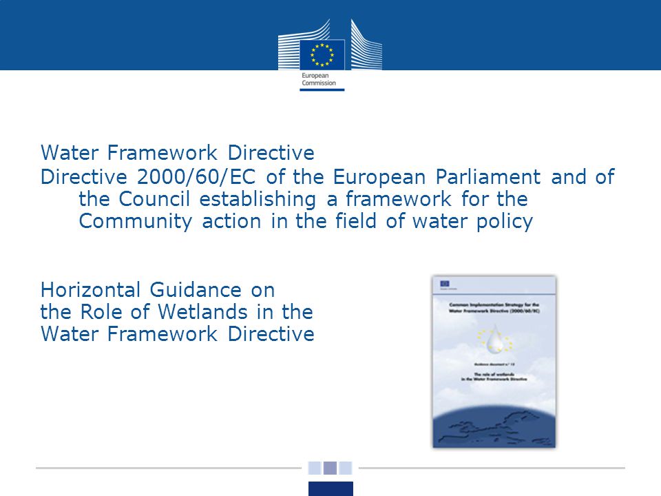 Water Framework Directive Directive 2000/60/EC of the European Parliament and of the Council establishing a framework for the Community action in the field of water policy Horizontal Guidance on the Role of Wetlands in the Water Framework Directive