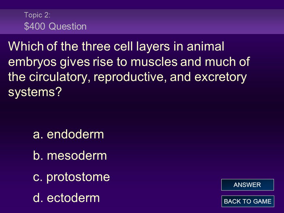 Topic 2: $400 Question Which of the three cell layers in animal embryos gives rise to muscles and much of the circulatory, reproductive, and excretory systems.