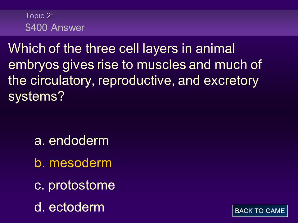 Topic 2: $400 Answer Which of the three cell layers in animal embryos gives rise to muscles and much of the circulatory, reproductive, and excretory systems.