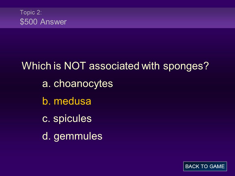 Topic 2: $500 Answer Which is NOT associated with sponges.