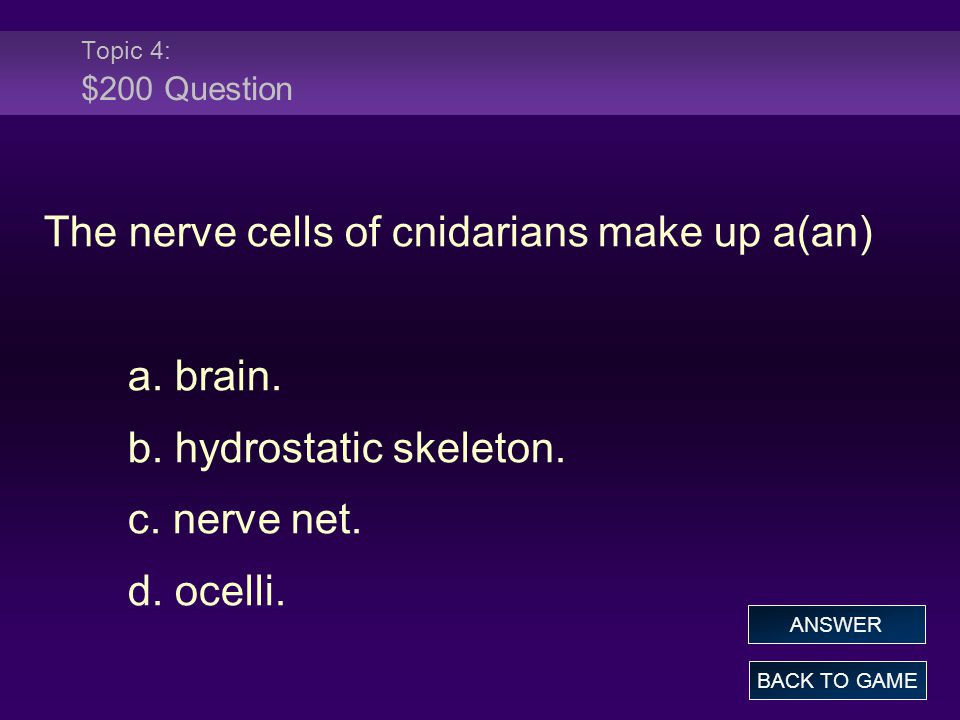 Topic 4: $200 Question The nerve cells of cnidarians make up a(an) a.