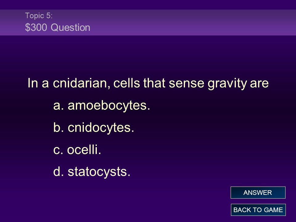 Topic 5: $300 Question In a cnidarian, cells that sense gravity are a.
