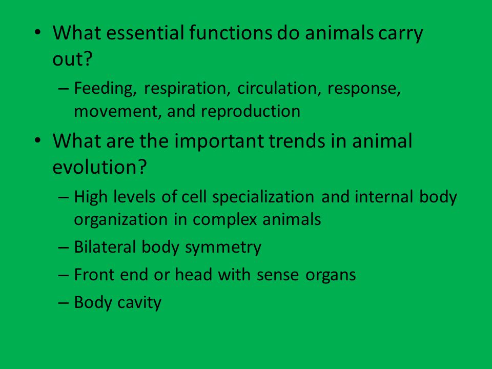 What essential functions do animals carry out.