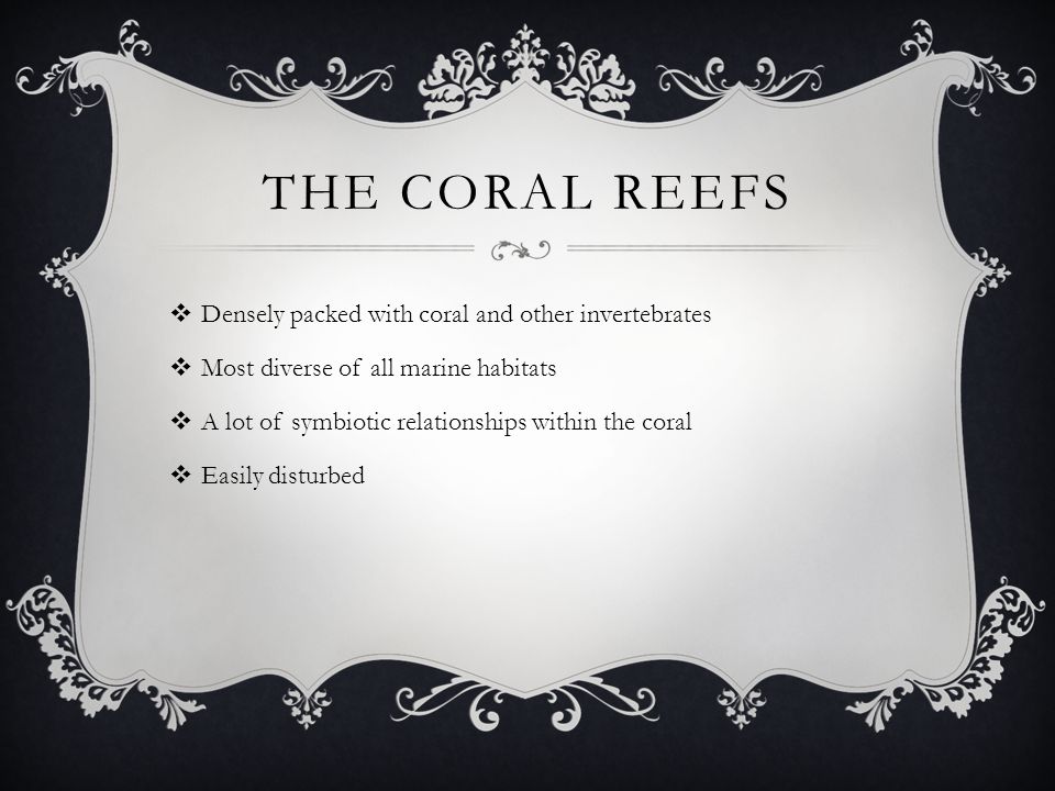 THE CORAL REEFS  Densely packed with coral and other invertebrates  Most diverse of all marine habitats  A lot of symbiotic relationships within the coral  Easily disturbed