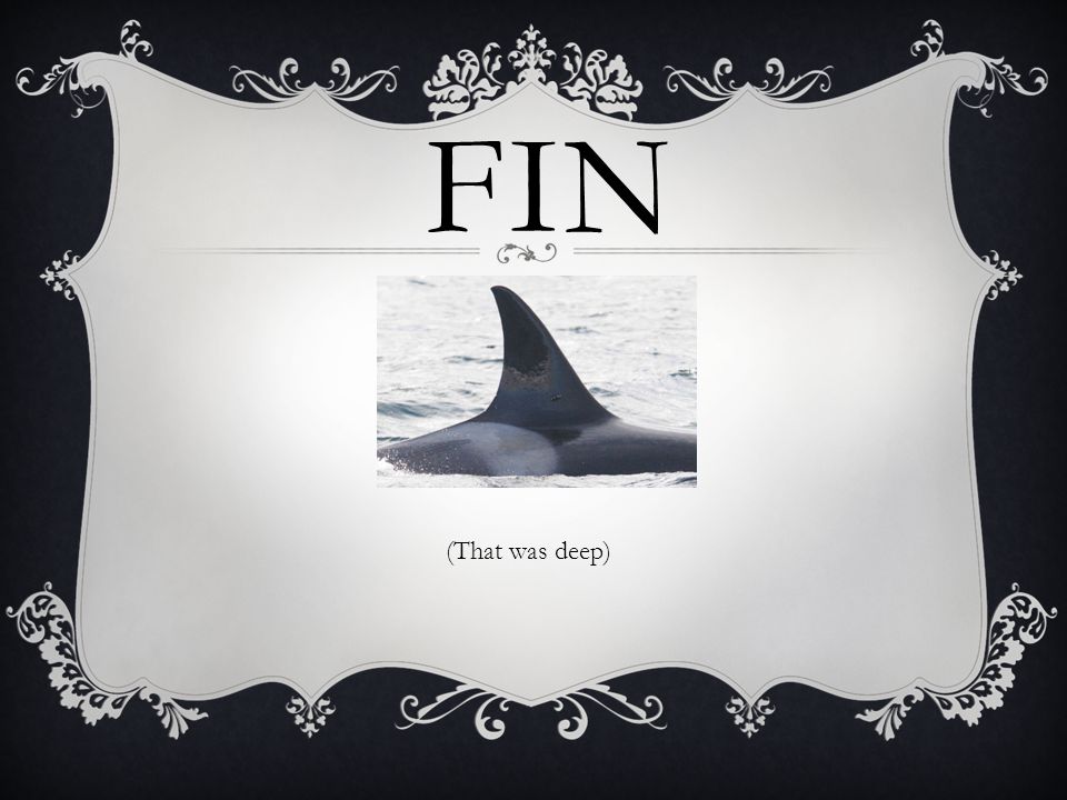 FIN (That was deep)