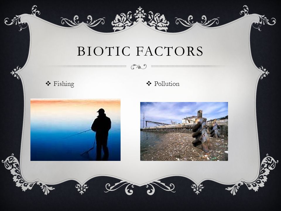  Fishing BIOTIC FACTORS  Pollution
