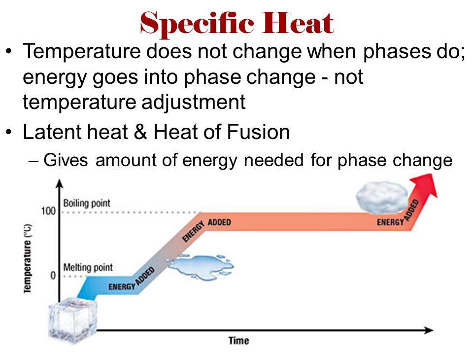Specific Heat Temperature does not change when phases do; energy goes into phase change - not temperature adjustment Latent heat & Heat of Fusion –Gives amount of energy needed for phase change