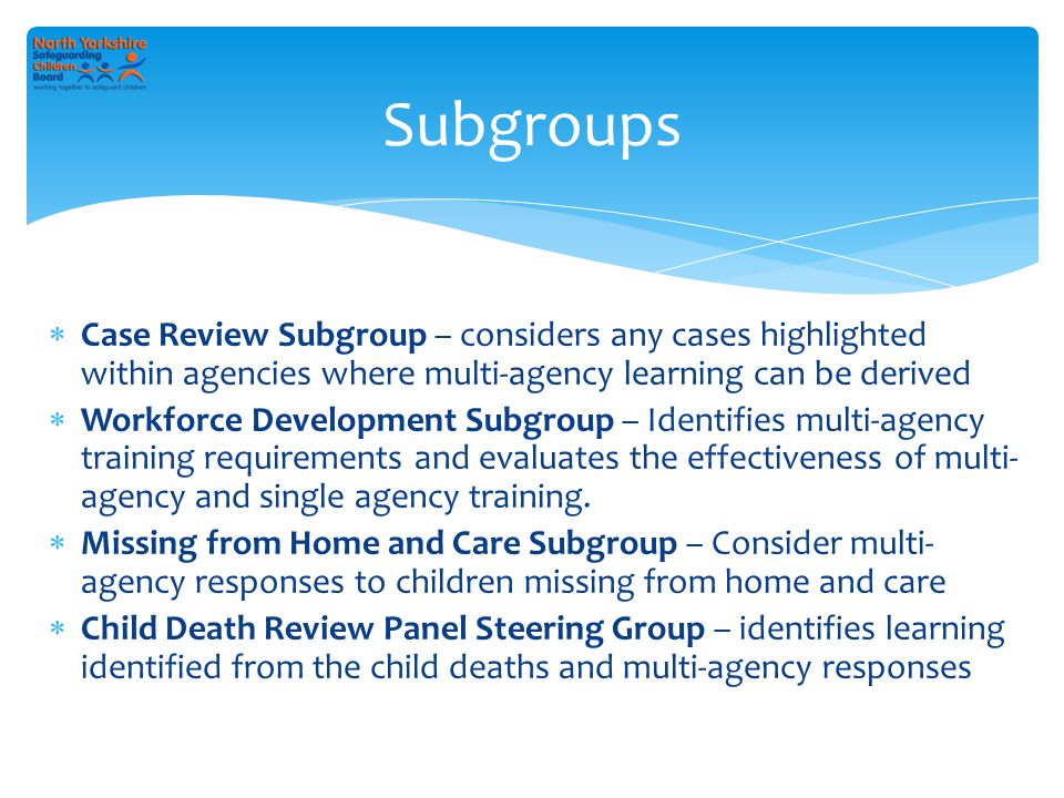 Subgroups  Case Review Subgroup – considers any cases highlighted within agencies where multi-agency learning can be derived  Workforce Development Subgroup – Identifies multi-agency training requirements and evaluates the effectiveness of multi- agency and single agency training.
