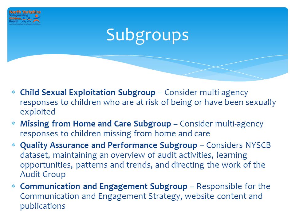  Child Sexual Exploitation Subgroup – Consider multi-agency responses to children who are at risk of being or have been sexually exploited  Missing from Home and Care Subgroup – Consider multi-agency responses to children missing from home and care  Quality Assurance and Performance Subgroup – Considers NYSCB dataset, maintaining an overview of audit activities, learning opportunities, patterns and trends, and directing the work of the Audit Group  Communication and Engagement Subgroup – Responsible for the Communication and Engagement Strategy, website content and publications Subgroups
