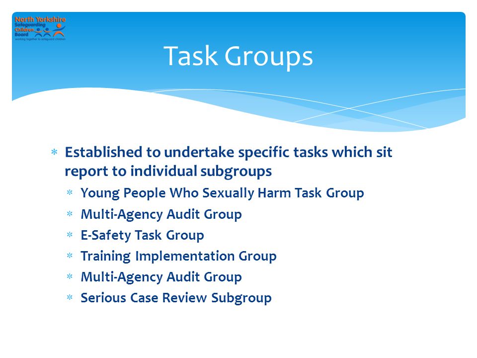  Established to undertake specific tasks which sit report to individual subgroups  Young People Who Sexually Harm Task Group  Multi-Agency Audit Group  E-Safety Task Group  Training Implementation Group  Multi-Agency Audit Group  Serious Case Review Subgroup Task Groups