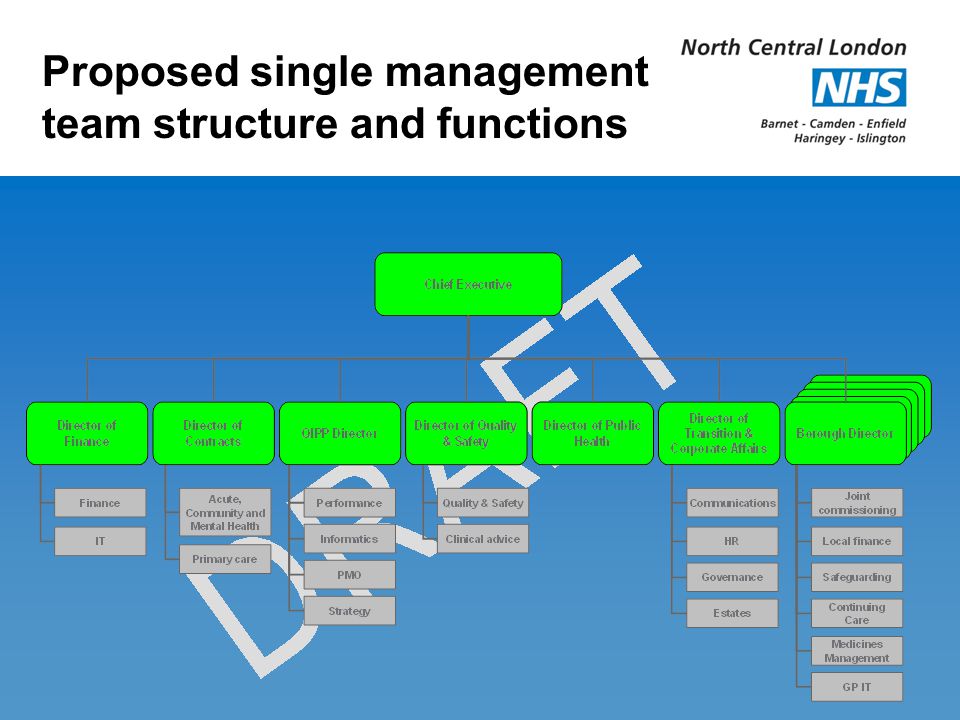 Proposed single management team structure and functions