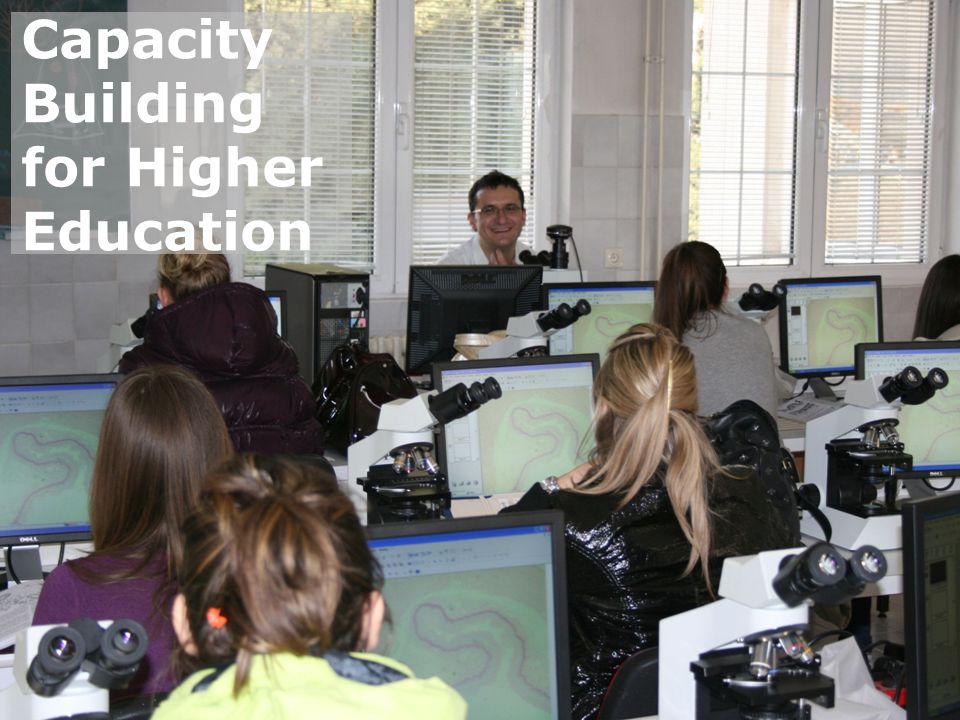 Erasmus+ Capacity Building for Higher Education