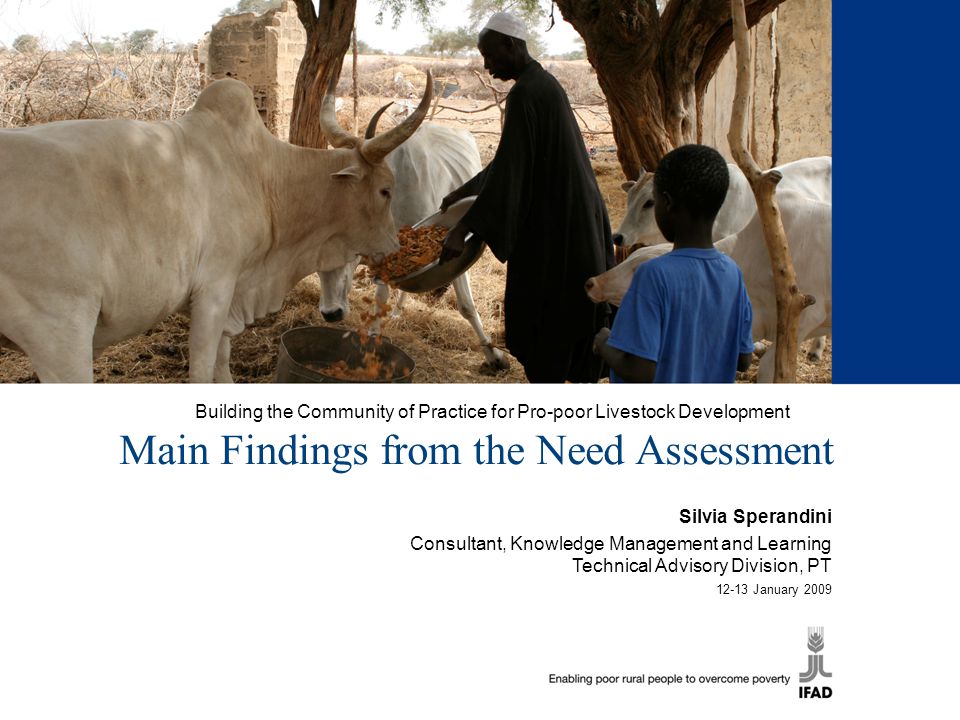 Building the Community of Practice for Pro-poor Livestock Development Main Findings from the Need Assessment Silvia Sperandini Consultant, Knowledge Management and Learning Technical Advisory Division, PT January 2009
