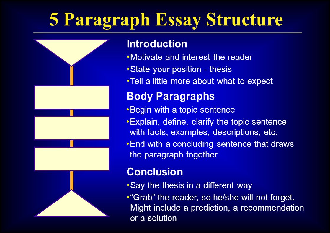 structure of an essay body paragraphs structure of an essay body paragraphs