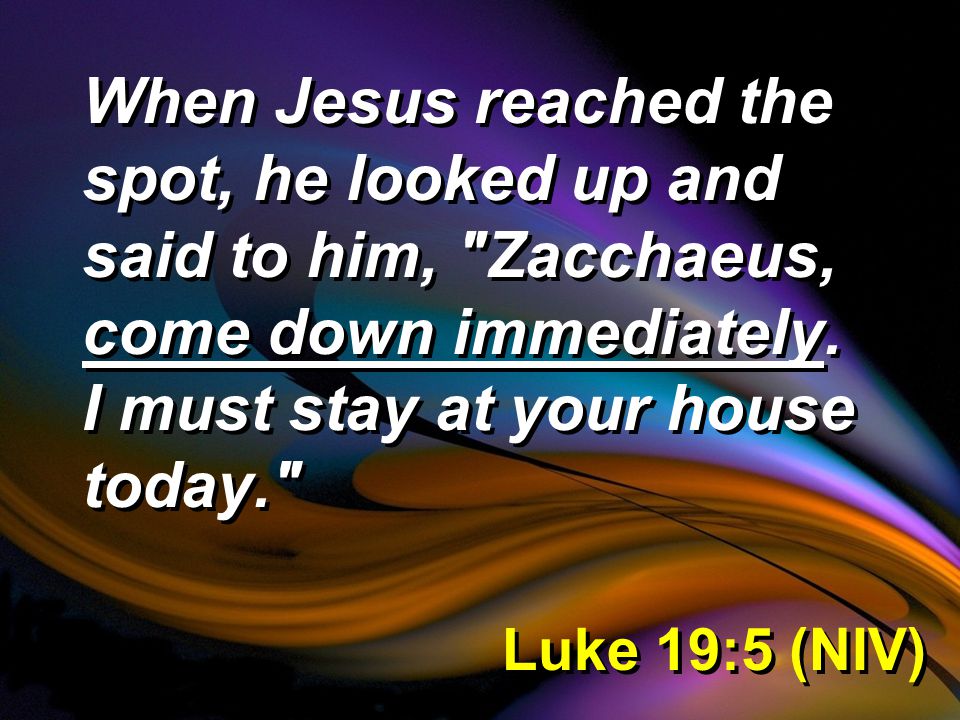 Luke 19:5 (NIV) When Jesus reached the spot, he looked up and said to him, Zacchaeus, come down immediately.