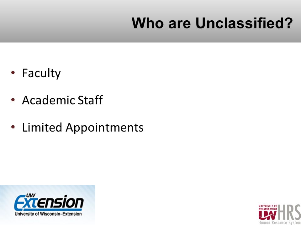 Who are Unclassified Faculty Academic Staff Limited Appointments 3