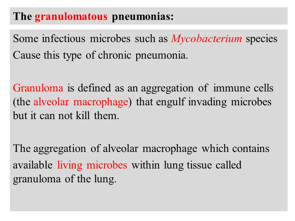 The granulomatous pneumonias: Some infectious microbes such as Mycobacterium species Cause this type of chronic pneumonia.