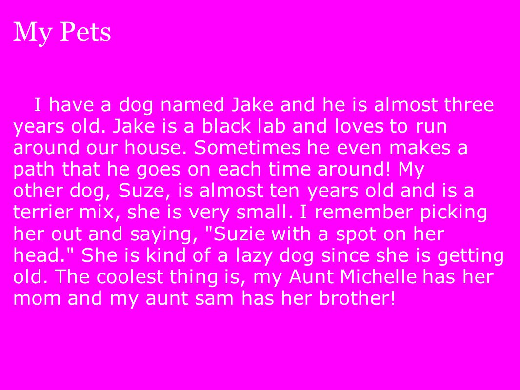 My Pets I have a dog named Jake and he is almost three years old.