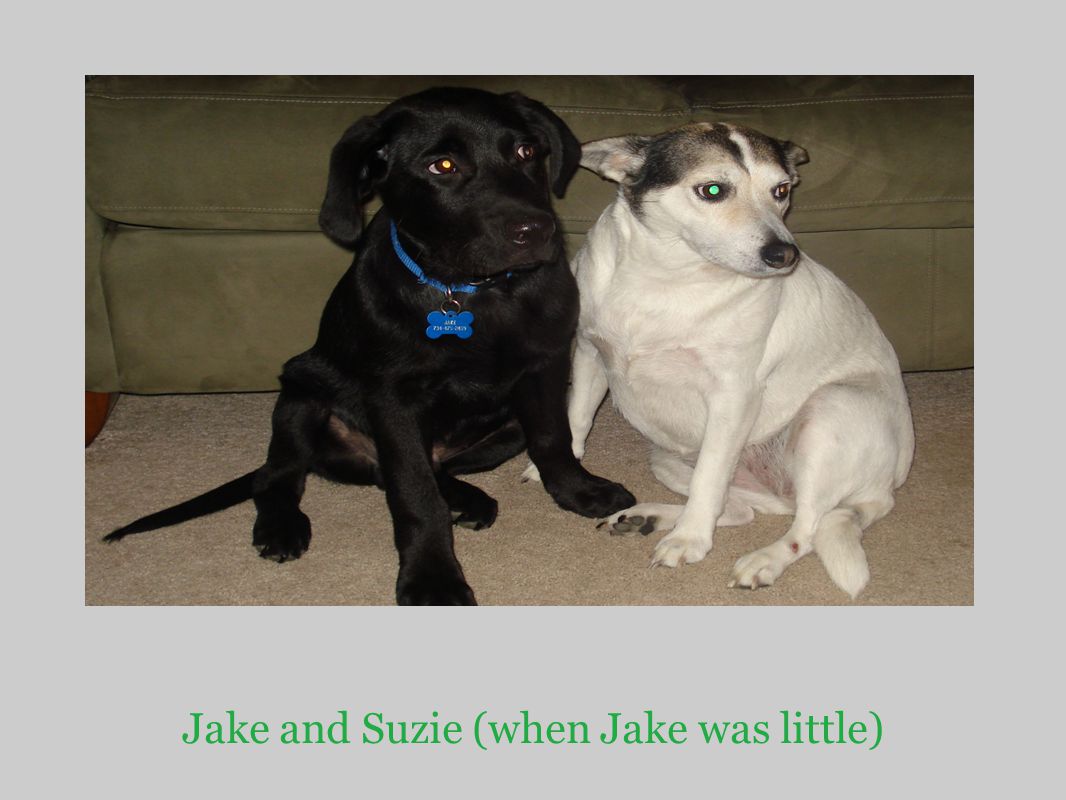Jake and Suzie (when Jake was little)