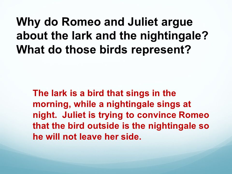 Why do Romeo and Juliet argue about the lark and the nightingale.