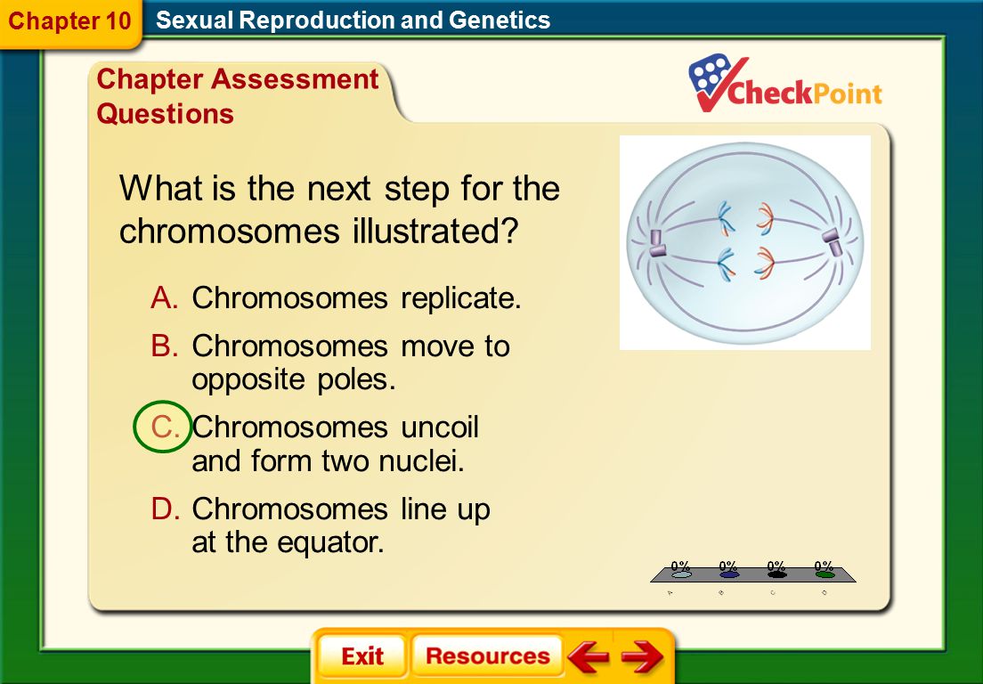 Worksheet Genetics Problems Joindesignseattle Worksheet Genetics Problems Biology Answers Templates And Worksheets Key