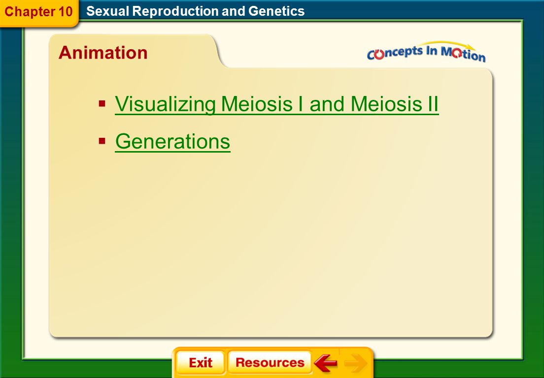worksheet Genetic Problems Worksheet genetics basic problems worksheet answers templates and worksheets genetic terms worksheets