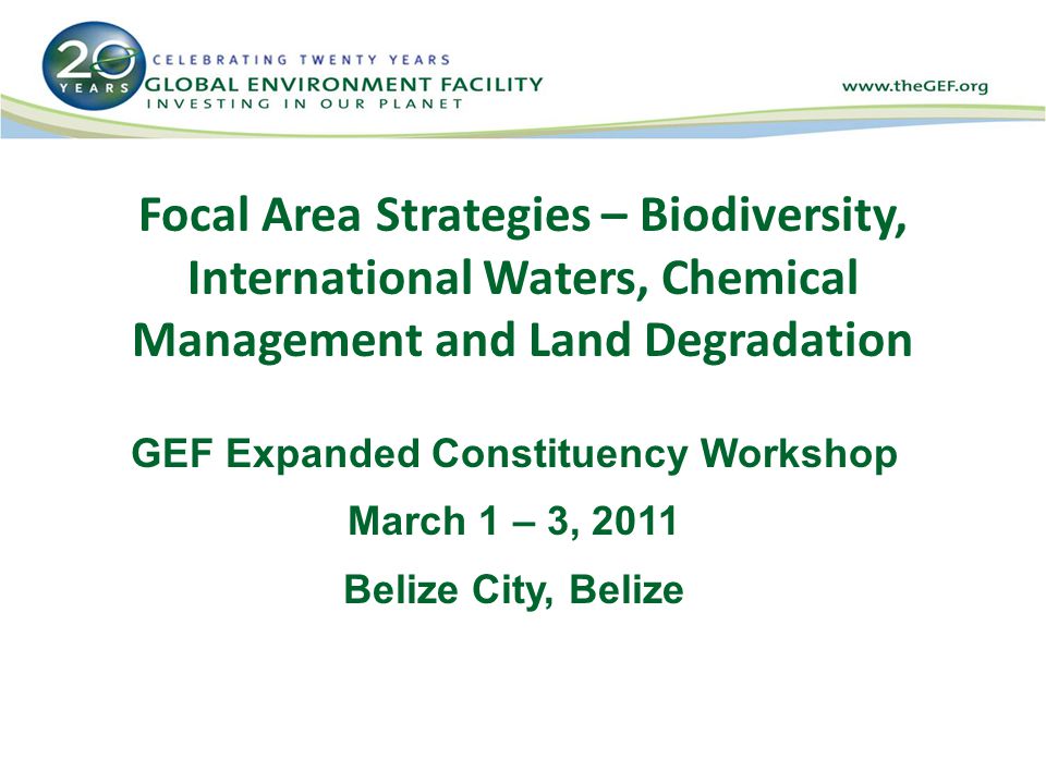 Focal Area Strategies – Biodiversity, International Waters, Chemical Management and Land Degradation GEF Expanded Constituency Workshop March 1 – 3, 2011 Belize City, Belize
