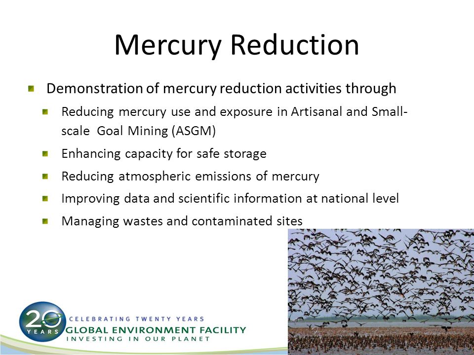 Mercury Reduction Demonstration of mercury reduction activities through Reducing mercury use and exposure in Artisanal and Small- scale Goal Mining (ASGM) Enhancing capacity for safe storage Reducing atmospheric emissions of mercury Improving data and scientific information at national level Managing wastes and contaminated sites 17
