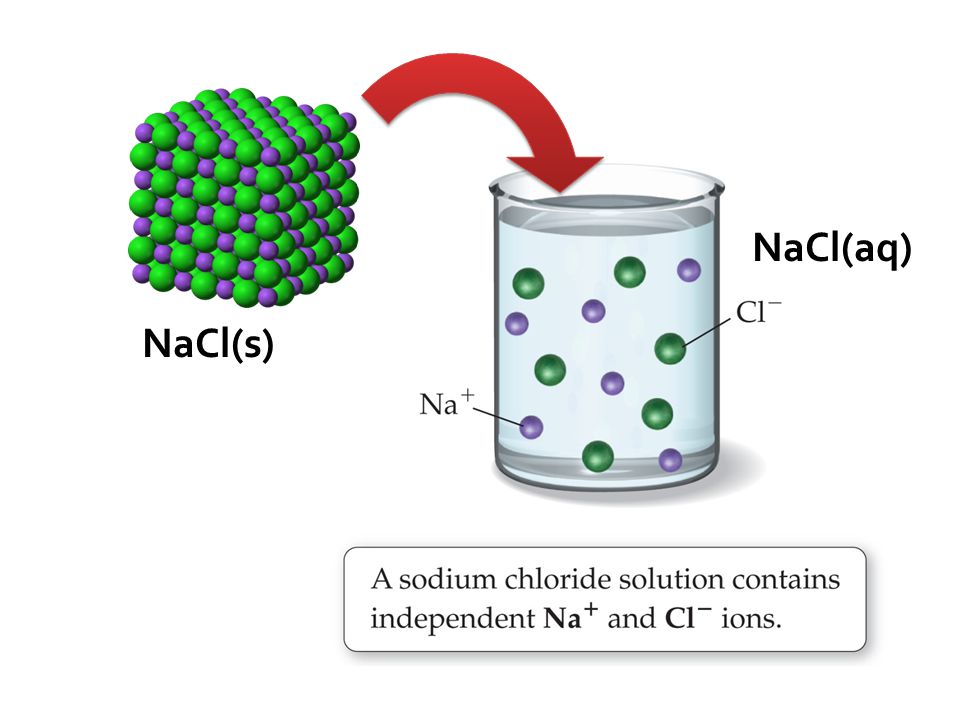 NaCl(s) NaCl(aq)