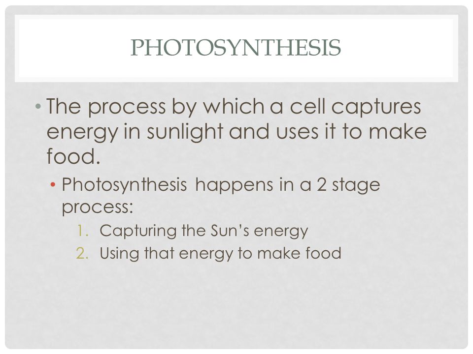 syneresis the process by which a Method of reducing syneresis in aqueous compositions to achieve both objectives through a single process step is both surprising and contra-indicated based. syneresis the process by which a Method of reducing syneresis in aqueous compositions to achieve both objectives through a single process step is both surprising and contra-indicated based.