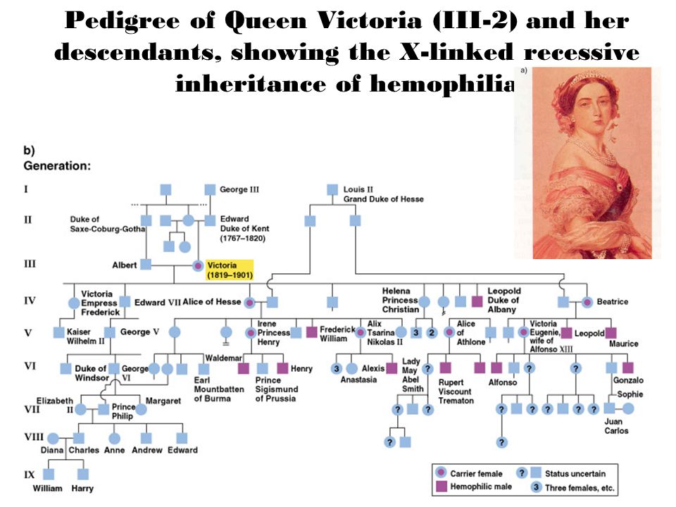 Queen Victoria Descendants Chart