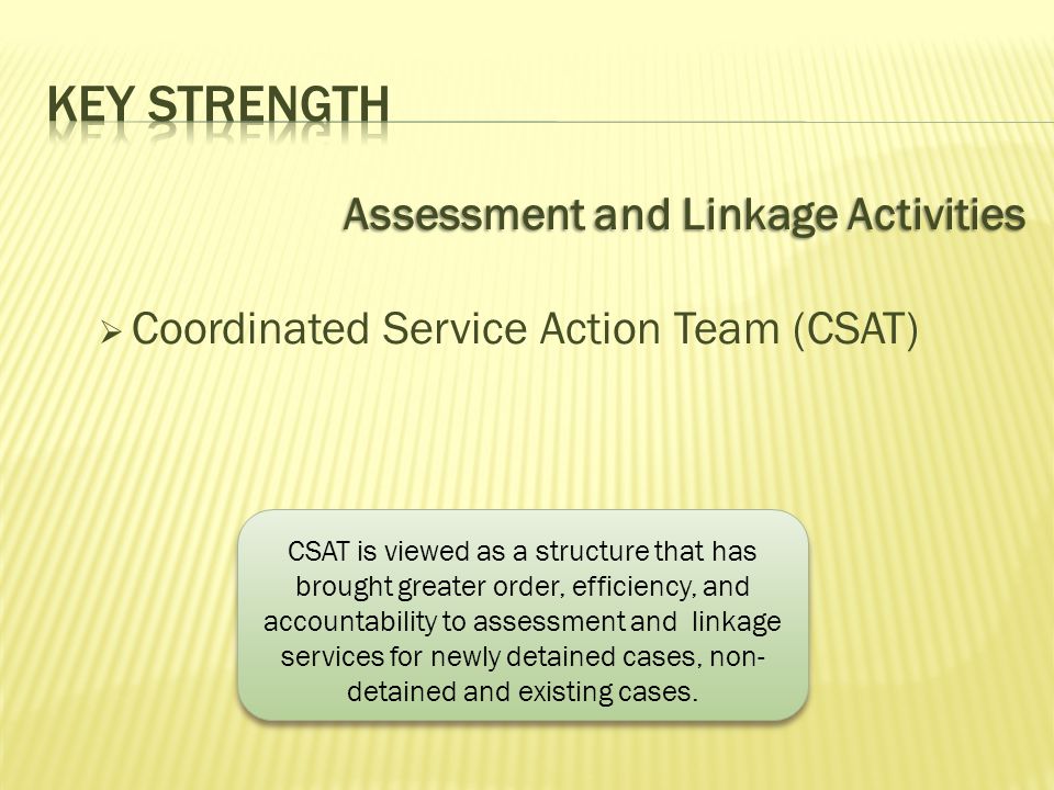 Assessment and Linkage Activities  Coordinated Service Action Team (CSAT) CSAT is viewed as a structure that has brought greater order, efficiency, and accountability to assessment and linkage services for newly detained cases, non- detained and existing cases.