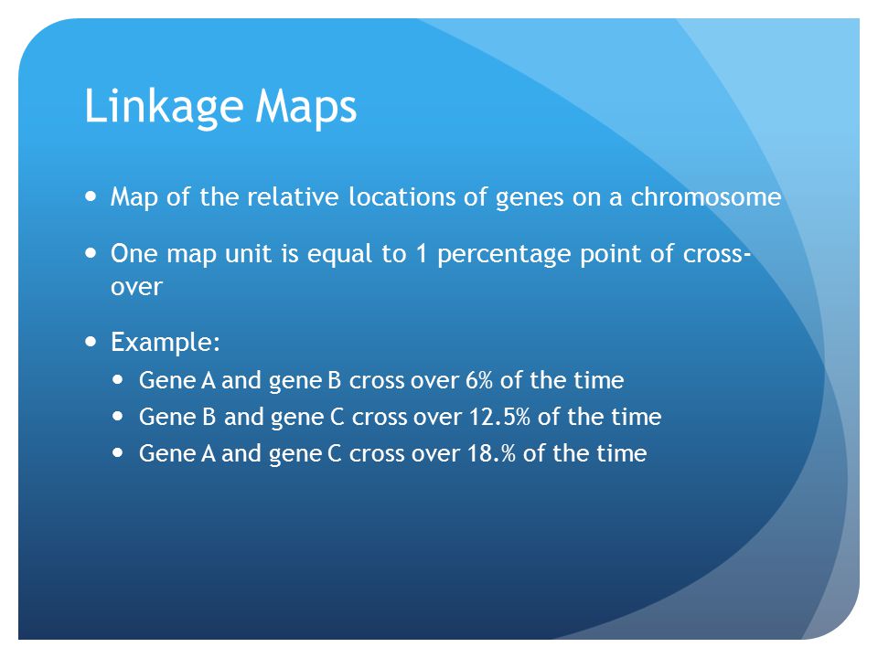 1 Map Unit Is Equal To Linkage Maps Map of the relative locations of genes on a chromosome One map unit is