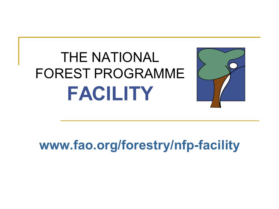 THE NATIONAL FOREST PROGRAMME FACILITY