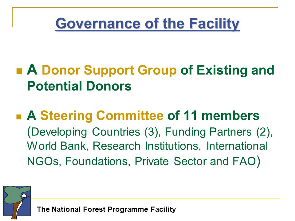The National Forest Programme Facility A Donor Support Group of Existing and Potential Donors A Steering Committee of 11 members ( Developing Countries (3), Funding Partners (2), World Bank, Research Institutions, International NGOs, Foundations, Private Sector and FAO ) Governance of the Facility
