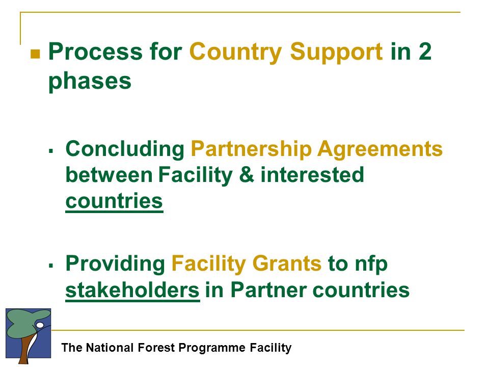 The National Forest Programme Facility Process for Country Support in 2 phases  Concluding Partnership Agreements between Facility & interested countries  Providing Facility Grants to nfp stakeholders in Partner countries
